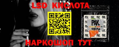 стаф Гай