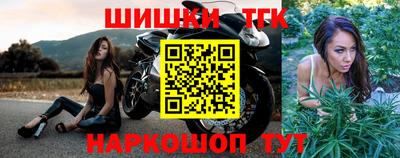 стаф Гай