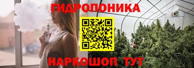 меф Гатчина