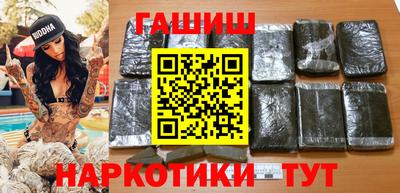 стаф Гай