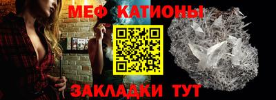 стаф Гай
