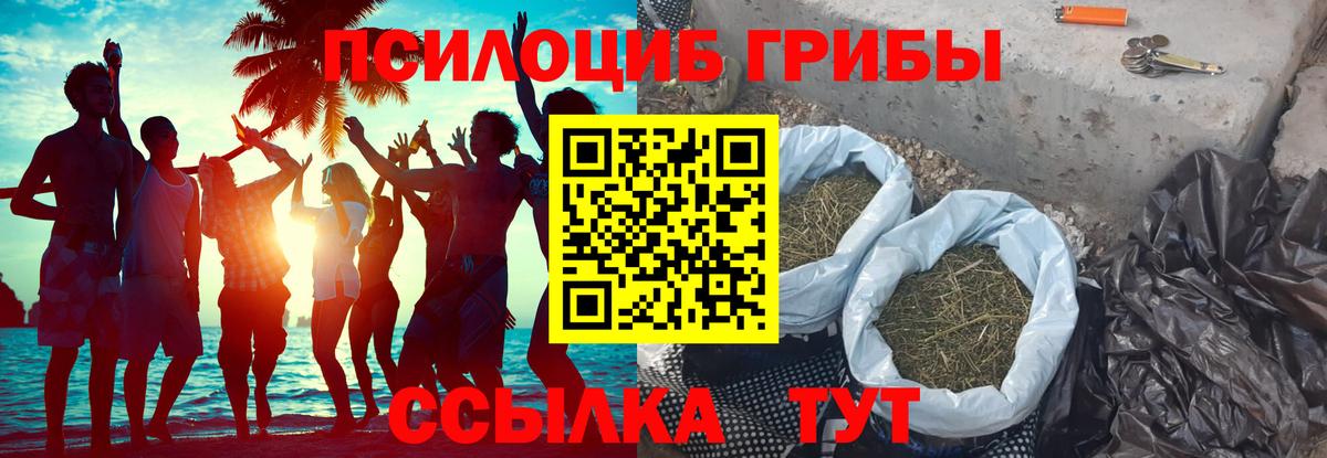 Камышин  Псилоцибиновые грибы ЛСД  Вход с VPN 