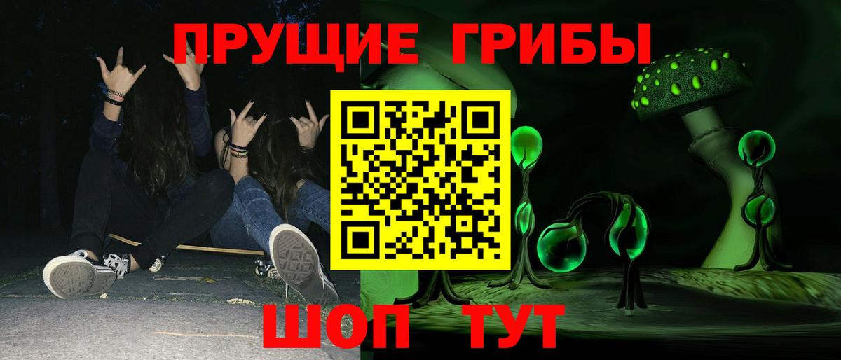 Псилоцибиновые грибы Cubensis Камышин